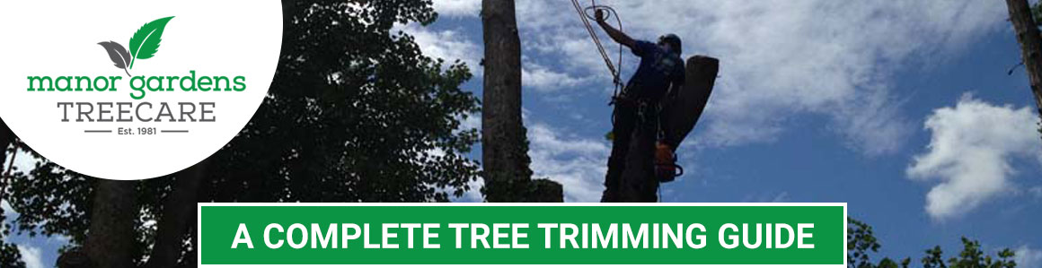 tree-trimming