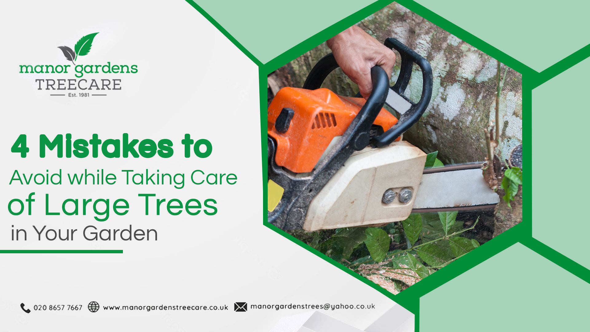 tree surgeon in Bromley