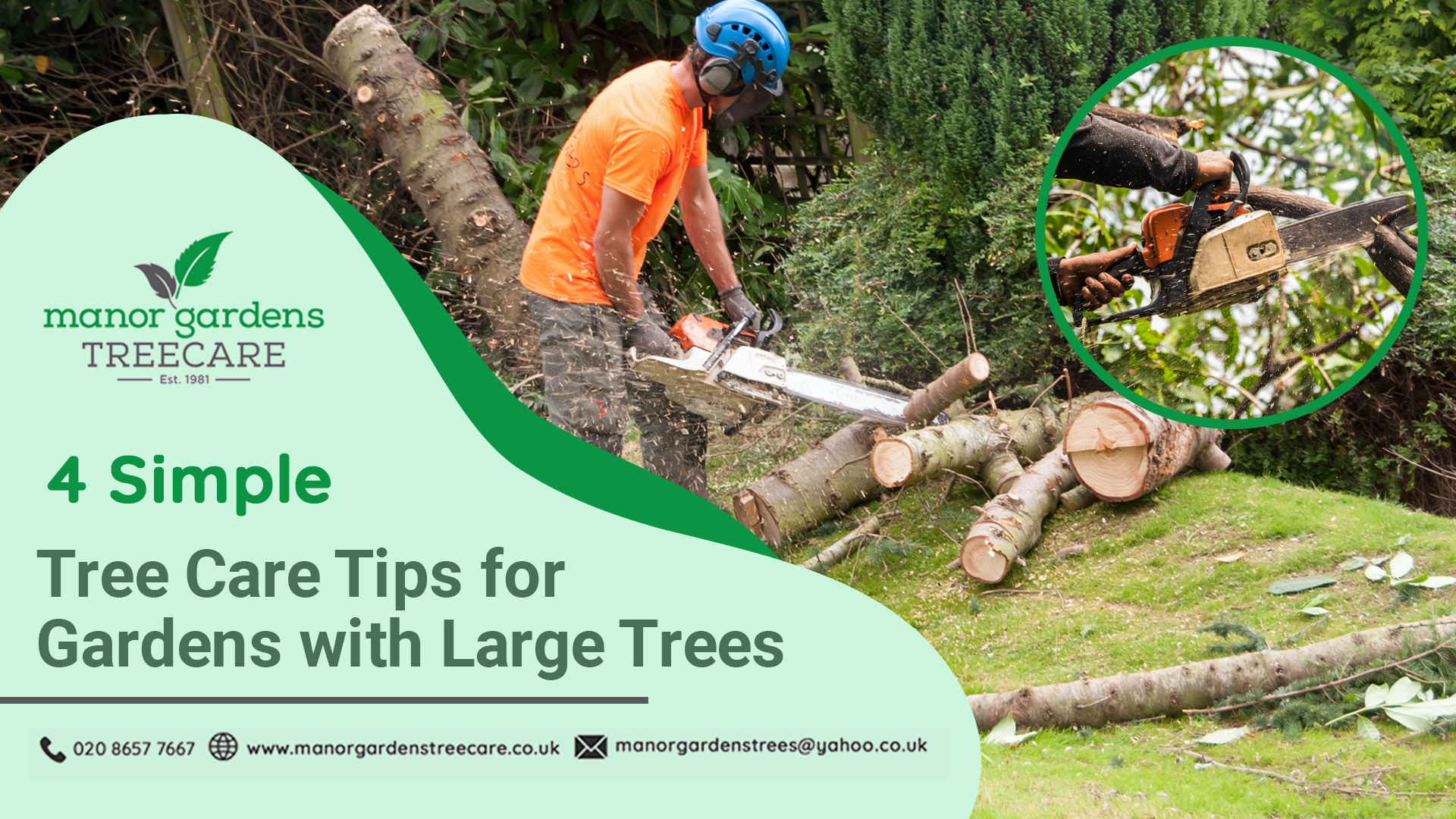 tree care in Bromley